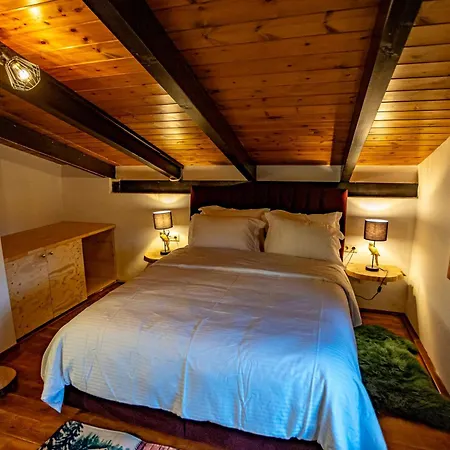 Mz Reindeer Maison d'hôtes Kalívia