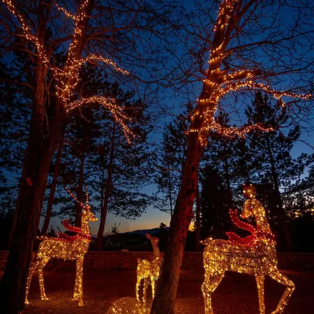Mz Reindeer 3*
