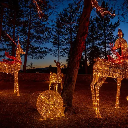 Mz Reindeer 3* Kalívia