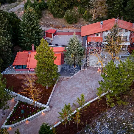 Mz Reindeer Maison d'hôtes