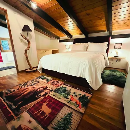 Mz Reindeer Kalívia