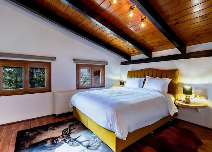 Mz Reindeer Kalívia